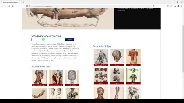 Anatomia Collection Medical Illustrations | Five Minute Friday | Free Anatomy Resource