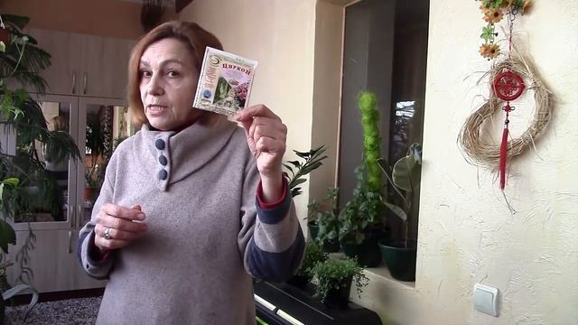 Циркон творит чудеса! Ускоритель роста циркон! Семена проклюнулись моментально! смотреть онлайн