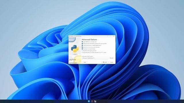 How to install Python 3.11 on Windows 11 in 2 minutes смотреть онлайн