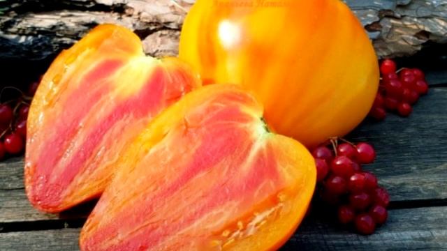 Семена томатов В.Г. Алифирова. смотреть онлайн