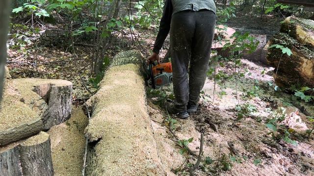 10 вересня 2023 р. смотреть онлайн