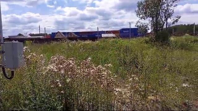 Продаю землю в Московская обл., Богородский г.о., ТСН СНТ Массив Цветочный, Ромашковая ул., 6 соток смотреть онлайн