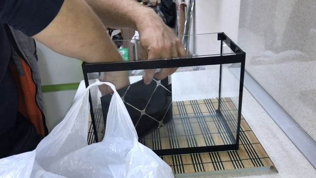НАНО АКВАРИУМ!!! ЗАПУСК АКВАРИУМА На 10л!!! АКВАРИУМ ДЛЯ НАЧИНАЮЩИХ АКВАРИУМИСТОВ