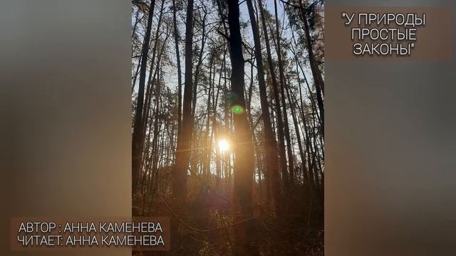 Стихотворение "У природы простые законы" Автор: Анна Каменева смотреть онлайн