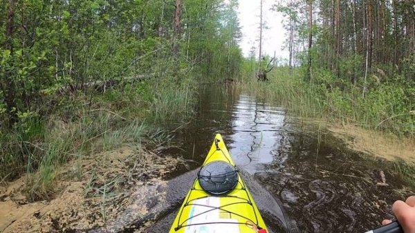 Red Fox Adventure Race 2022