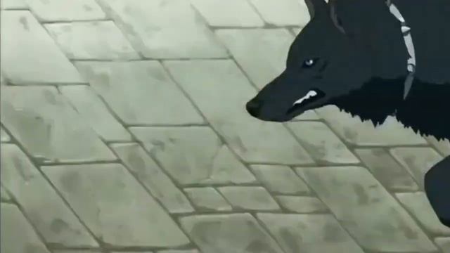 IN COLD (AMV) - Wolf's rain.mp4 смотреть онлайн