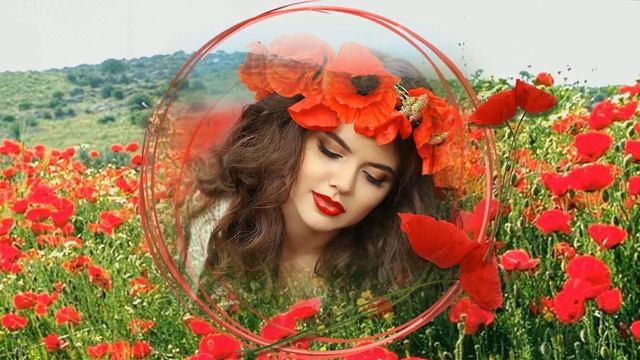 Красные маки-бесплатный проект для прошоуродусер смотреть онлайн