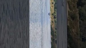 лодка Днепр, Ямаха 40, гидролифт