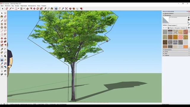 Создаём растения в SketchUp