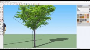 Создаём растения в SketchUp