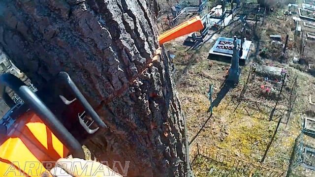 Режем деревья, первый раз с краном We cut down trees with the help of the crane смотреть онлайн