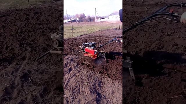 Оранка. Мотоблок "Кентавр" 7-лошадок, 3-х скоросний, ременний. Уже 4 роки а він як новий??? смотреть онлайн