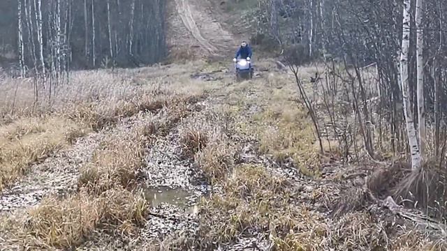 ТОПИМ В БОЛОТЕ МОТОСОБАКУ IKUDZO! Выжила ли подвеска..