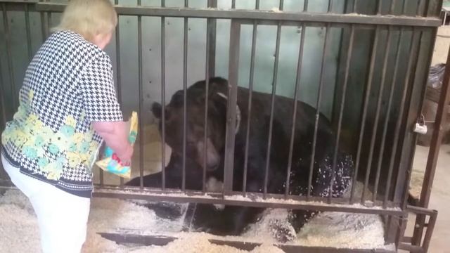 Малыш Тянь-Шаньский смотреть онлайн