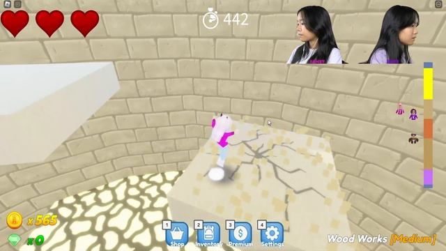This is the FUNNEST Tower Obby Game on Roblox! | Super Skyward Towers смотреть онлайн