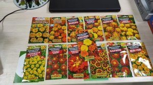 Бархатцы 25 сортов -  обзор