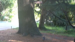 Санаторий Южное Взморье Адлер 1 сентября 2023 года. Хроника.