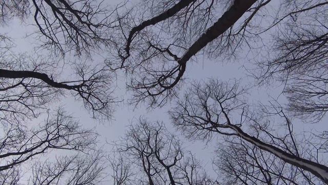Парк в Аннино смотреть онлайн