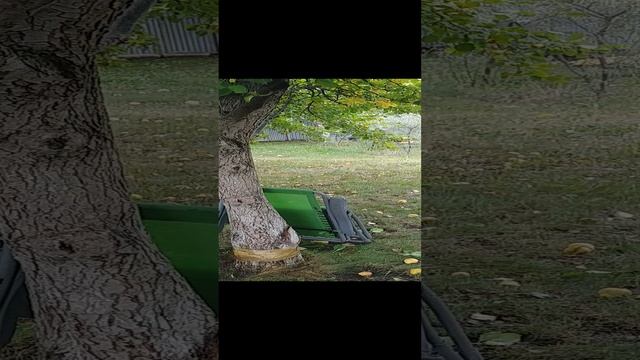 20230831_Груша смотреть онлайн