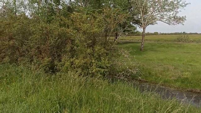 Франция, два друга, ослик и лошадка ?? смотреть онлайн