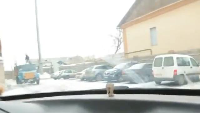 Едем в отель АкваЛайф смотреть онлайн