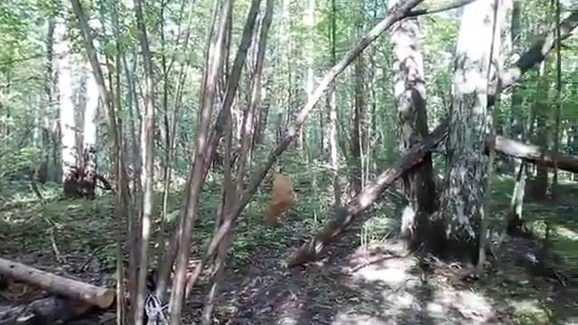 Одиночный поход Быковка Подмосковье 10 мая2018 смотреть онлайн