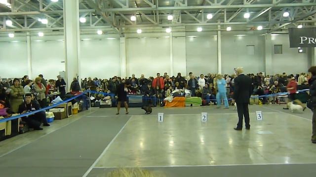 евразия 2013-1 промежуток смотреть онлайн