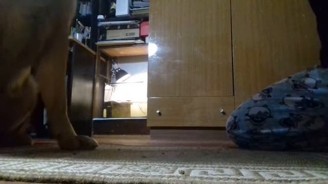 Команда Апорт смотреть онлайн