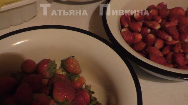 #Земляника/клубника крупноплодная. 28 АВГУСТА 2016 год смотреть онлайн