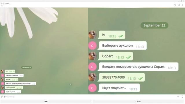 Создание telegram ботов от 300$ смотреть онлайн