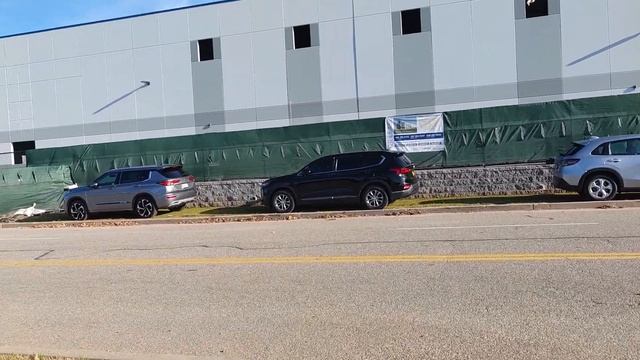 ЗА ОЧКАМИ В ЧЁРНУЮ ПЯТНИЦУ / КАК ЖЕ МНОГО ЛЮДЕЙ / ИРАНСКИЙ МАГАЗИН смотреть онлайн