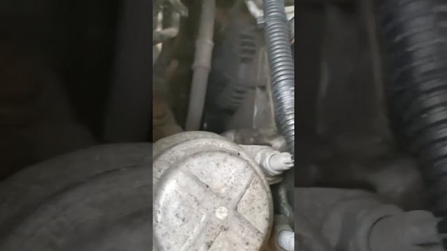 Ford Mondeo 4 шум кто сталкивался?