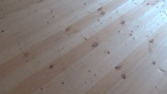 Внутренняя отделка. Монтаж ГИПСОКАРТОНА в каркасном доме и монтаж ИМИТАЦИИ БРУСА внутри дома! смотреть онлайн