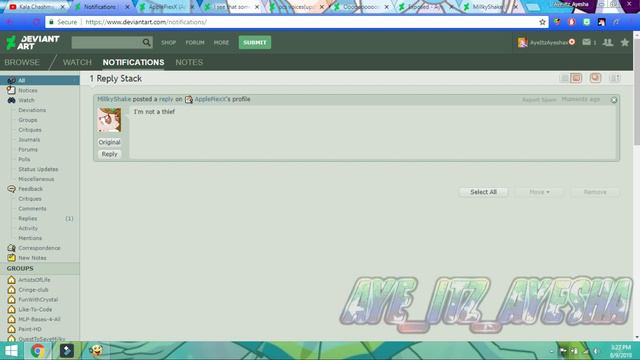 RANT ABOUT SILVERWINDYT aka SOFIA KOTIK смотреть онлайн