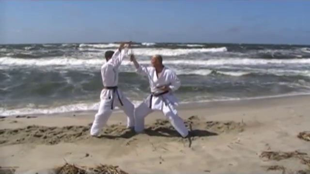 Okinawa Kobudo. Bo-tai-Sai Kumite Of Ryukyu Kobudo