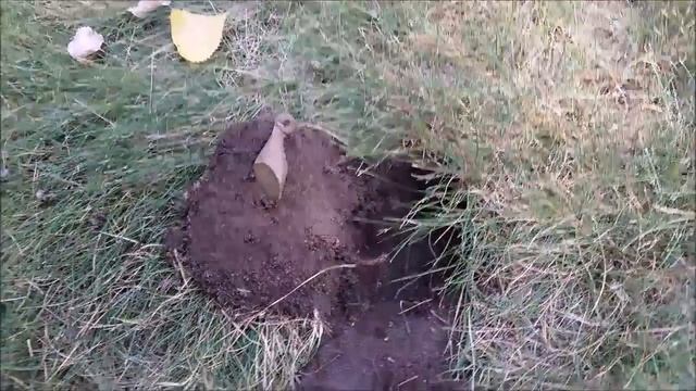 Metal Detecting Lifes A Beach BOSKY OUTDOORS смотреть онлайн
