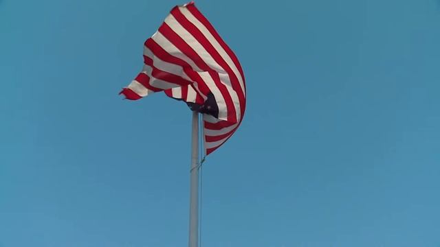 edison timeline смотреть онлайн