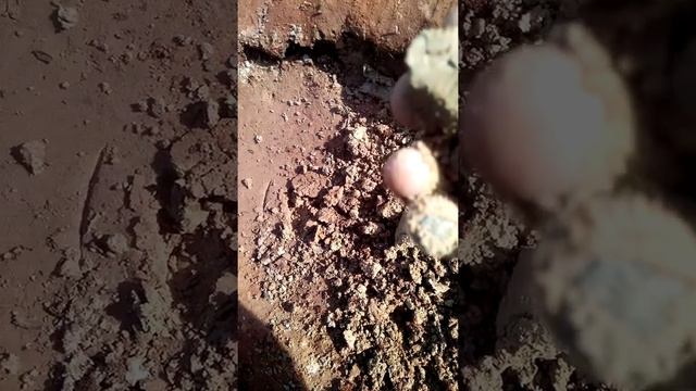 Скважина своими руками ч 7 смотреть онлайн