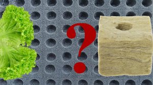 Выращивание на подоконнике рассада на минеральной вате и поролоне.