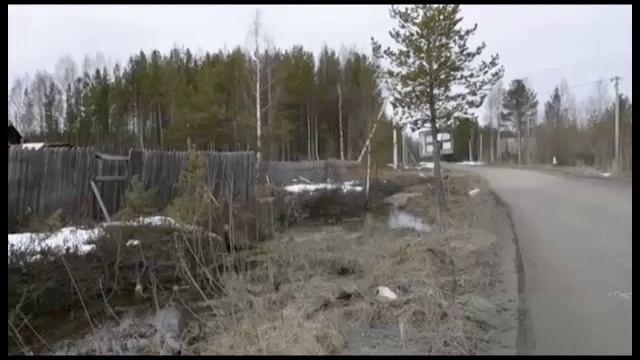 Проверили СНТ (СТВ от 30.04.2019) смотреть онлайн