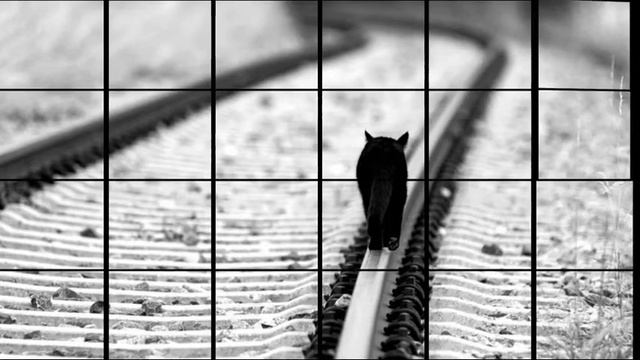 То полоска чёрная, то полоска белая... смотреть онлайн