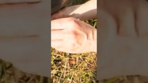 Замена лампочки в противотуманке Renault Sandero