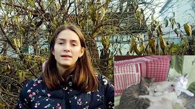 История появления моих животных / 2 Часть смотреть онлайн