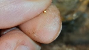 Золото в реле РПА12 (проверка)