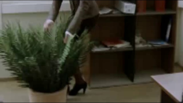 Спрятались всем офисом за 5 секунд