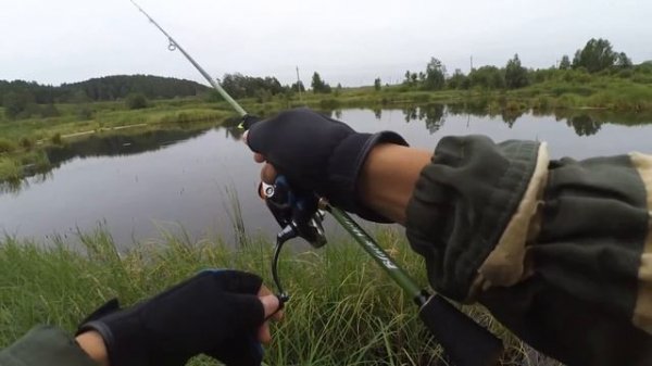 Jackall Tiny Fry убийца окуня, Спиннинг Black Hole Spy и Катушка Daiwa 17 Fuego LT