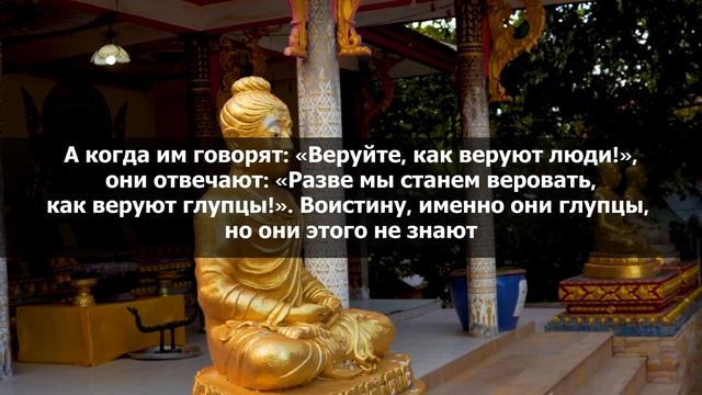 Сура аль-Бакара - очень красивое чтение. Слушайте Коран каждый день. Чтец: Билал Дарбали смотреть онлайн