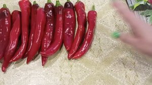 Очень урожайный,крупный острый перец Двойное изобилие идеален для заготовок.24.08.2022