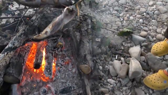Ленки жареные ,хребты и хариуза на рожне смотреть онлайн