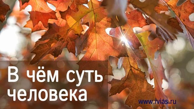 В чём суть человека | Книга жизни смотреть онлайн